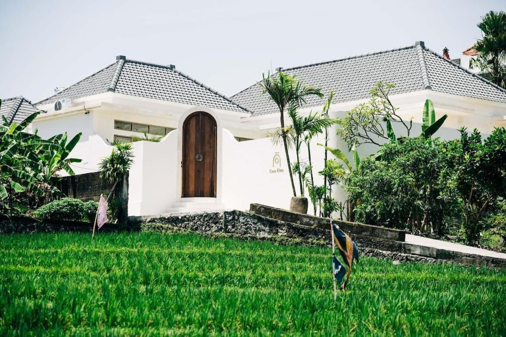 New Design Villa Casa Alma 3Bdr With Private Pool, Canggu Екстер'єр фото